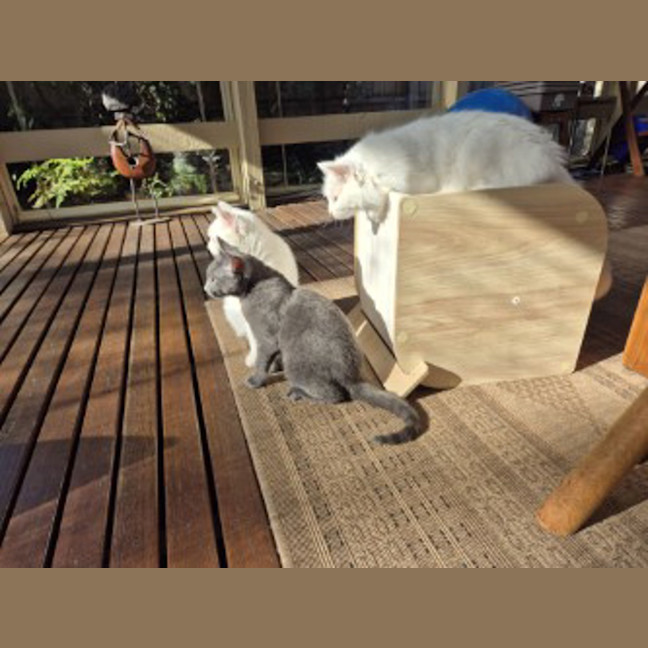 Photo of Blue