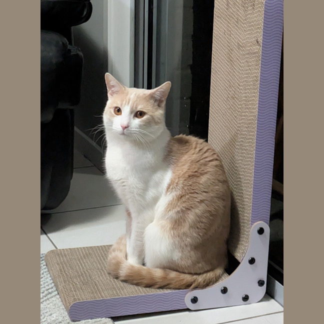 Photo of Lucy
