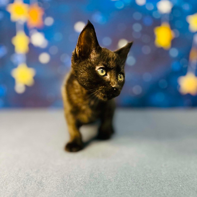 Photo of Barry   Located In Preston 