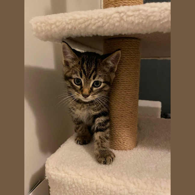 Photo of Kiwi