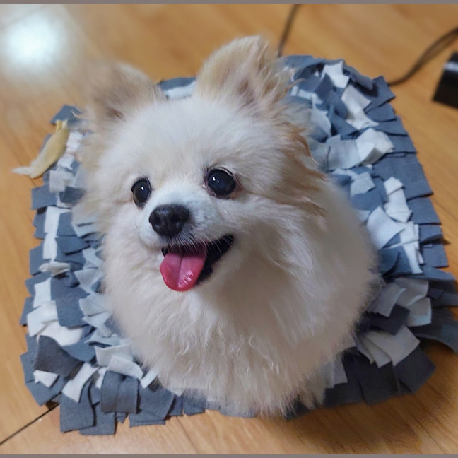 Photo of Princess