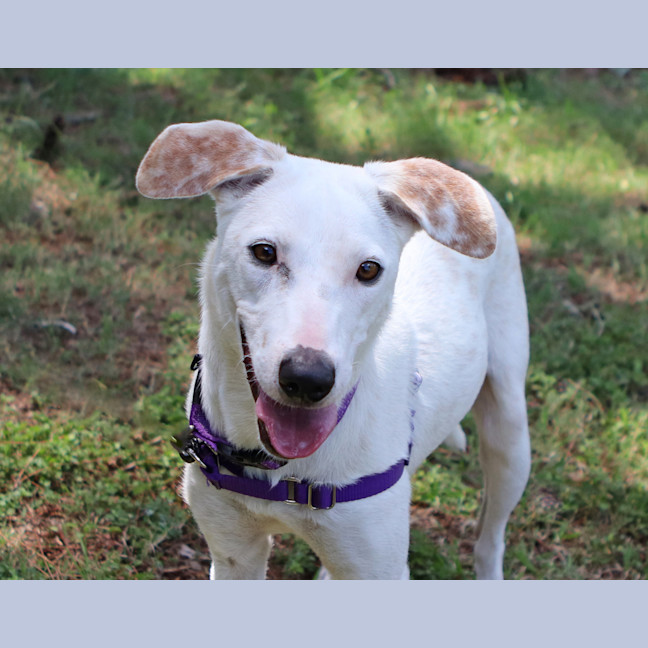 Photo of Lola