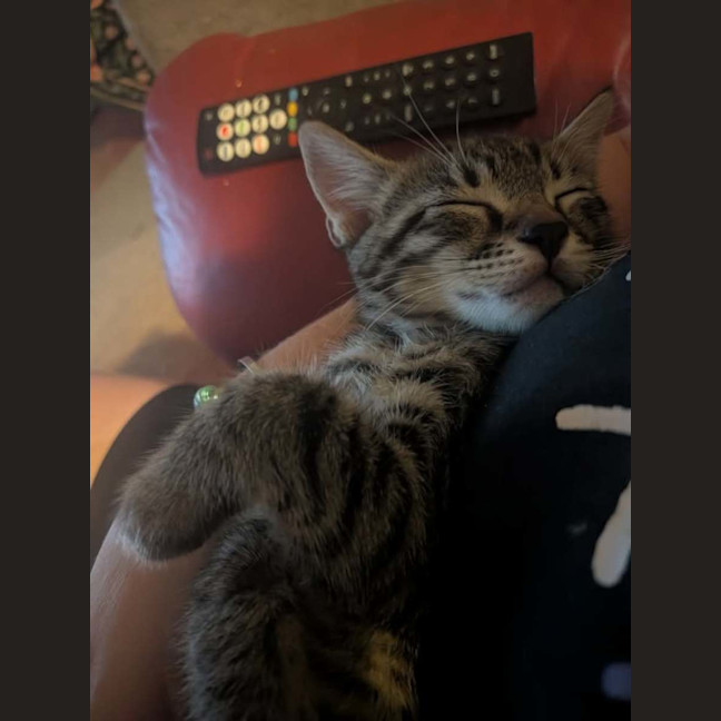 Photo of Woody