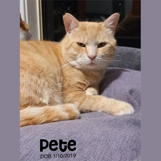Photo of Pete