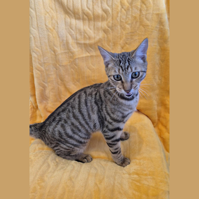 Photo of Narla