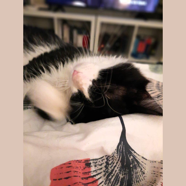 Photo of Dudley Kumara