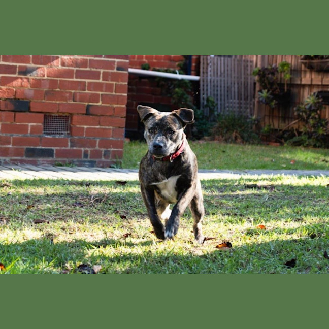 Photo of Benny Lozano