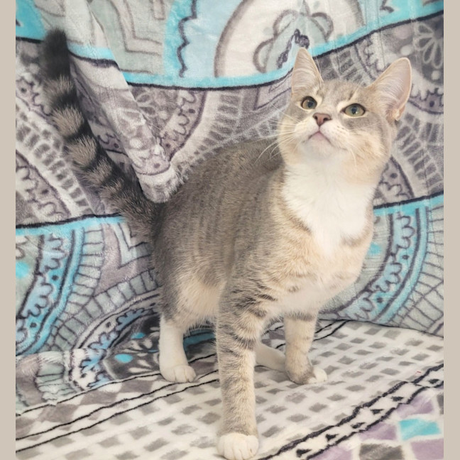 Photo of Prancer 🦌