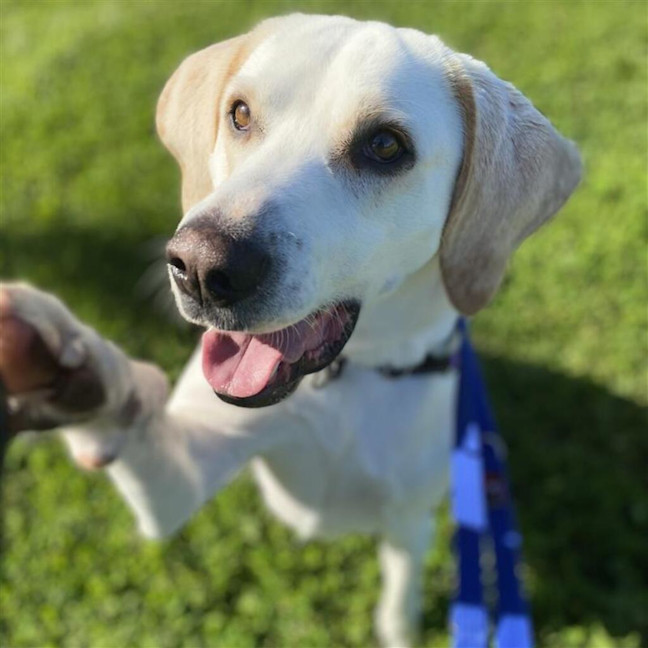 Photo of Bruce