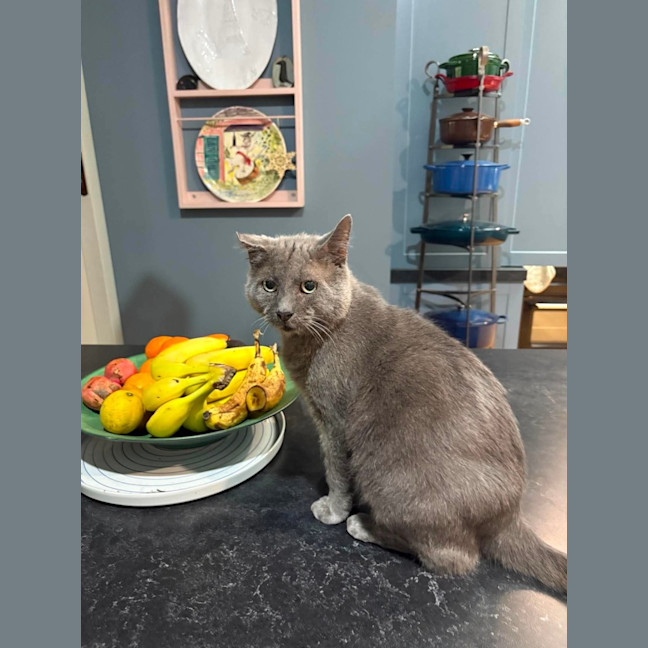 Photo of Max 