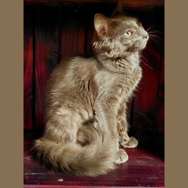 Photo of Dolly Purrton
