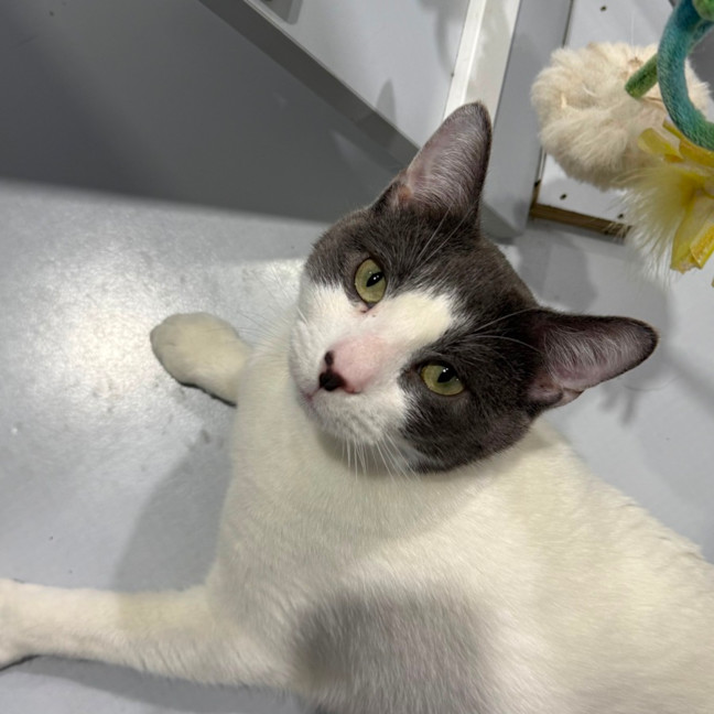 Photo of Pablo 🌟🌴