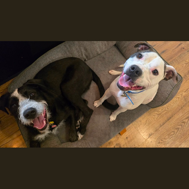 Photo of Frank Costanza