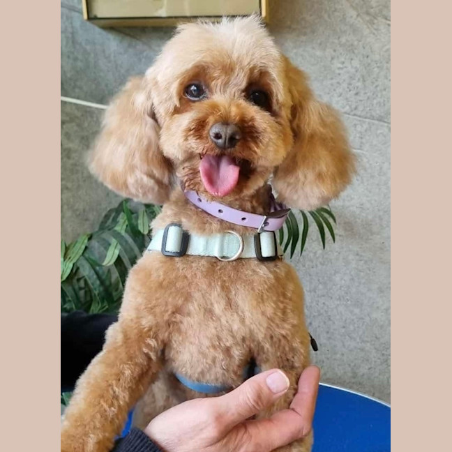 Photo of Mitzi