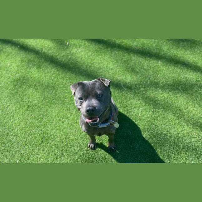 Photo of Candy