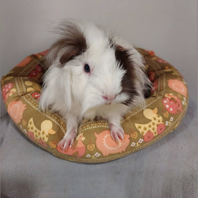 Photo of Jill