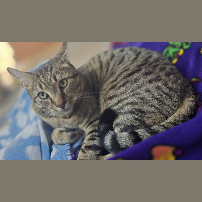 Photo of Raj