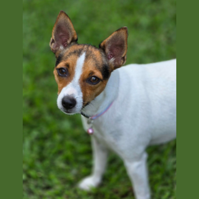 Photo of Tully And Rose