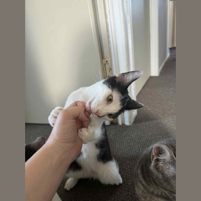 Photo of Astro