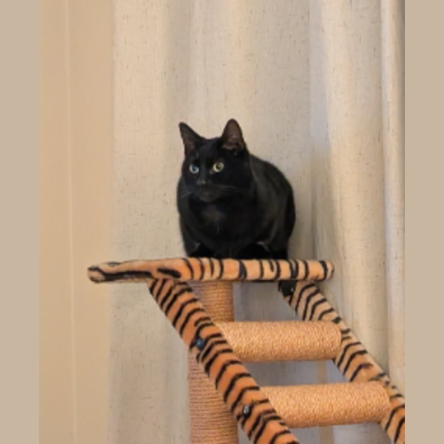 Photo of Lucy