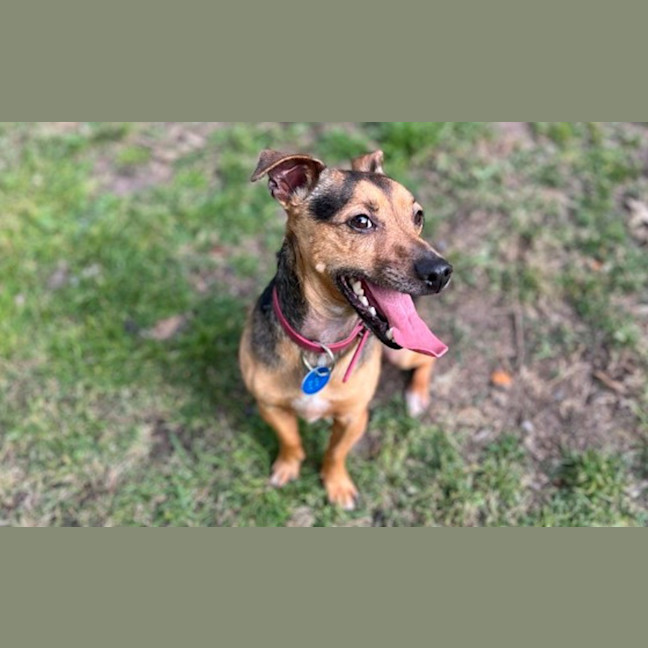 Photo of Peri