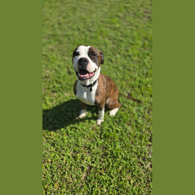 Photo of Tank