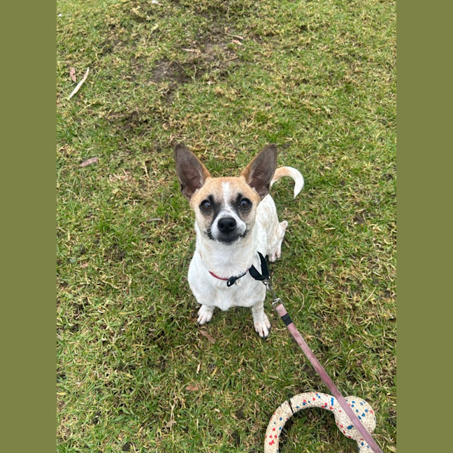 Photo of Karloo