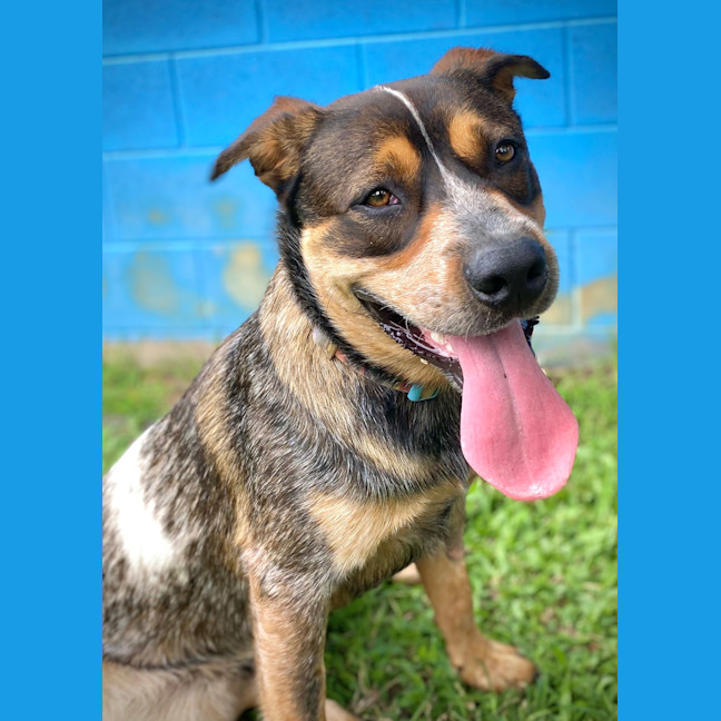 Photo of Max
