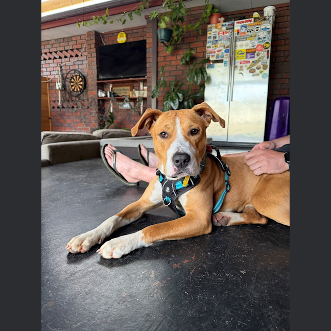 Photo of Coco
