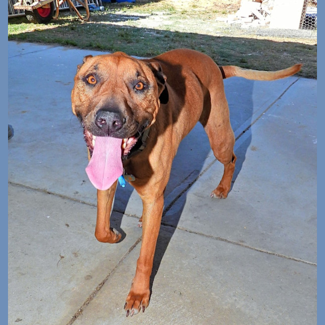 Photo of Lucy