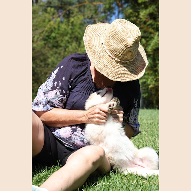 Photo of Belle