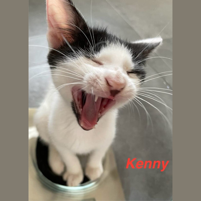 Photo of Kenny