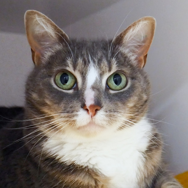 Photo of Lulu Rsuk005429