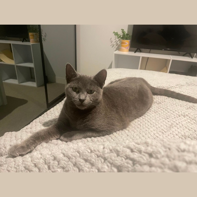 Photo of Sprinkle 🧁 