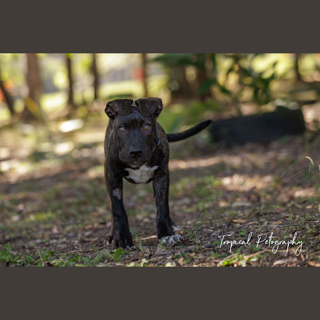 Photo of Zeus