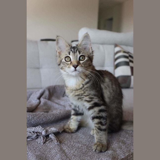 Photo of Rizzo