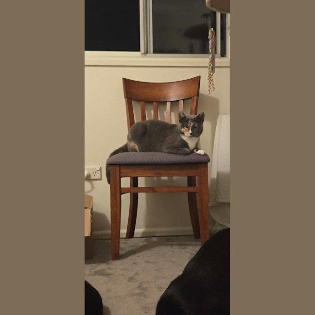 Photo of Cali