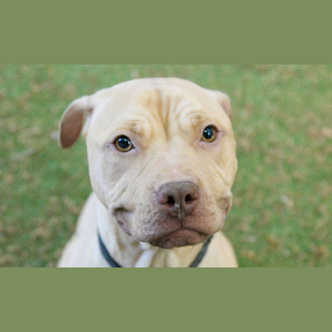 Photo of Xena