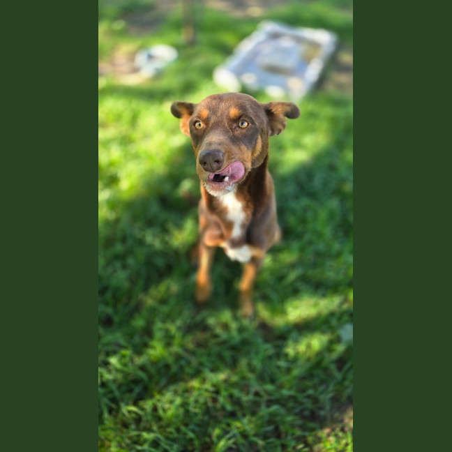 Photo of Max