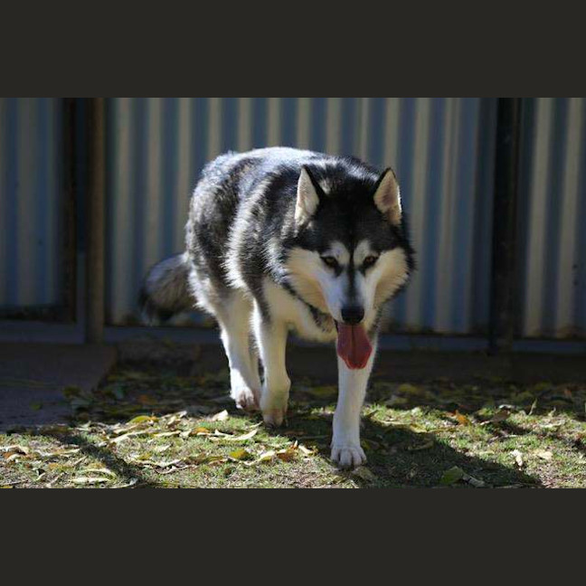 Photo of Delilah