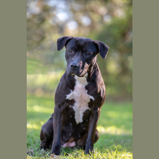 Photo of Roxy