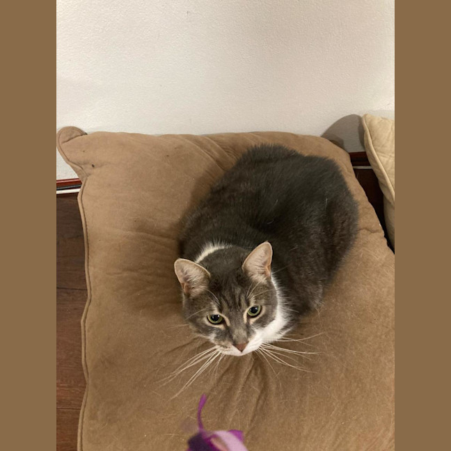 Photo of Maya & Louie