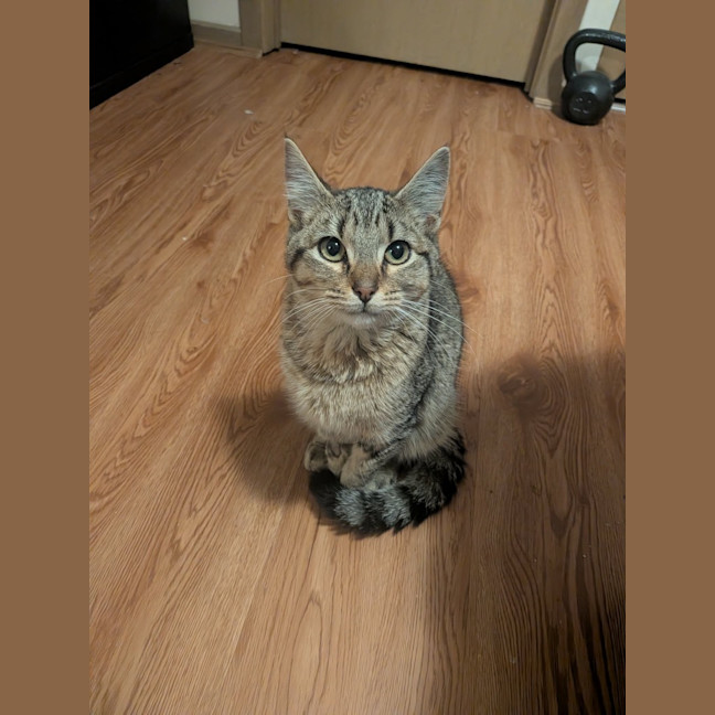Photo of Butters