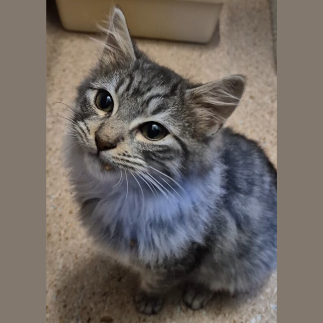 Photo of Titus