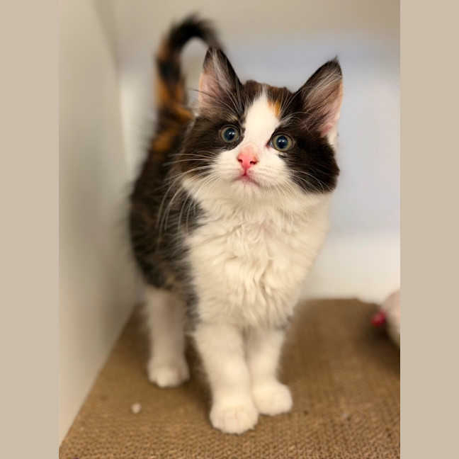 Photo of Meg