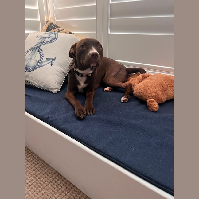 Photo of Peggy