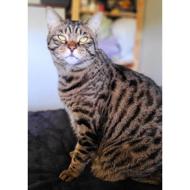 Photo of 2471   Minnie