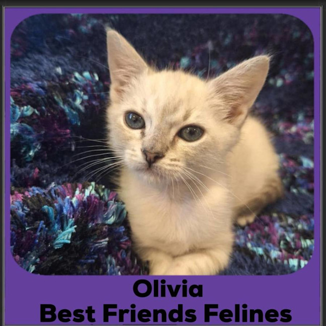 Photo of Olivia 