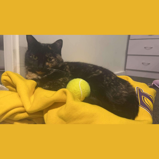 Photo of Duchess & Marie 👑🎀