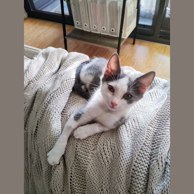 Photo of Izzy
